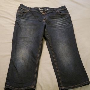 Lane Bryant Jean Capris